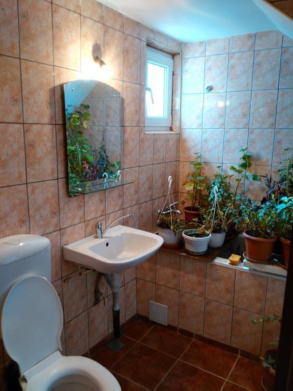 Vila Marcela Buşteni Стая снимка