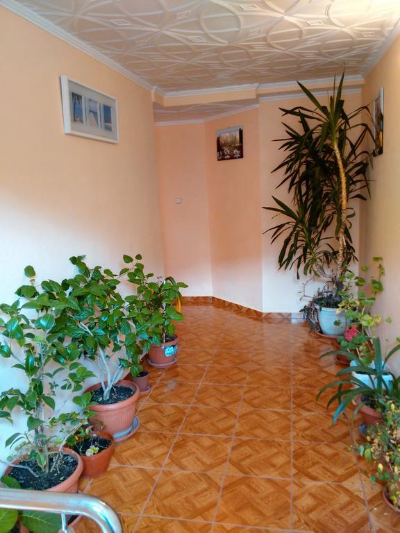 Vila Marcela Buşteni Стая снимка