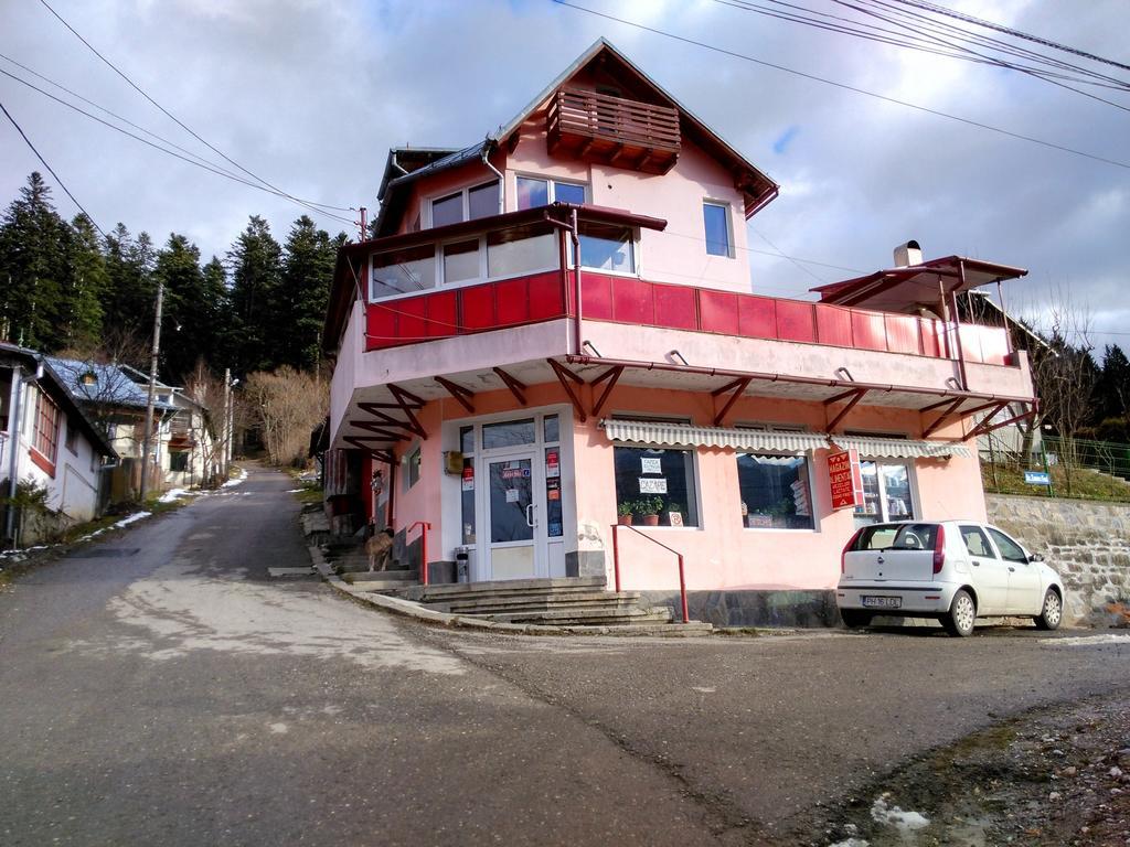 Vila Marcela Buşteni Стая снимка