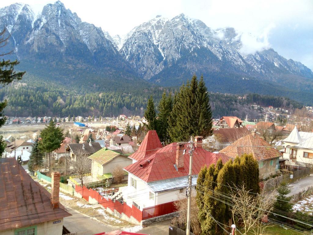 Vila Marcela Buşteni Стая снимка