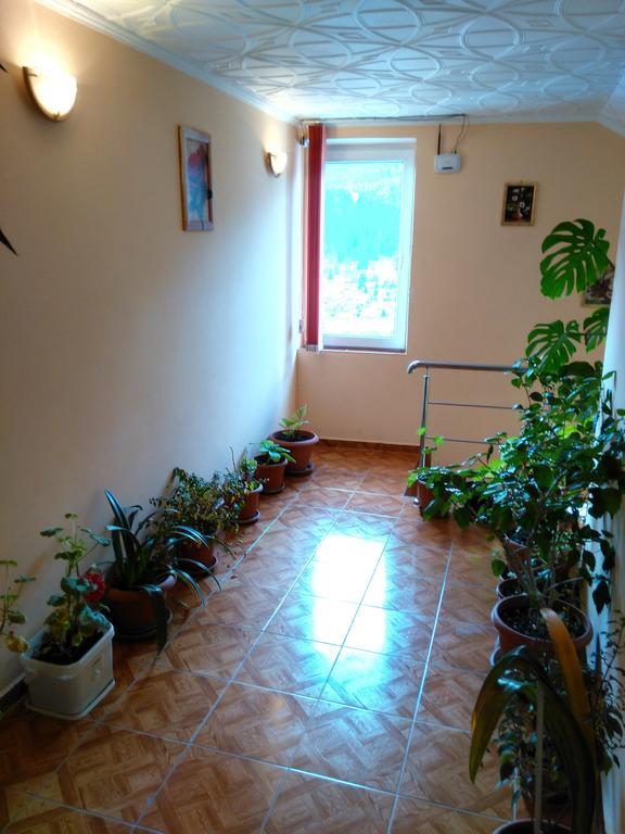 Vila Marcela Buşteni Стая снимка