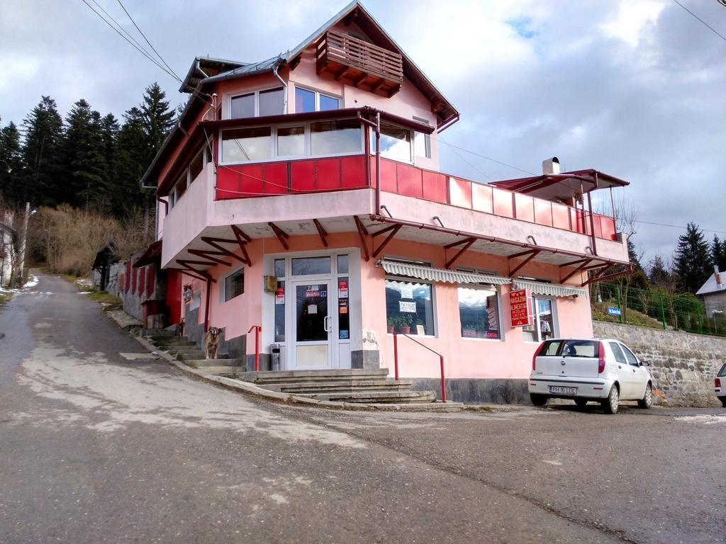 Vila Marcela Buşteni Екстериор снимка